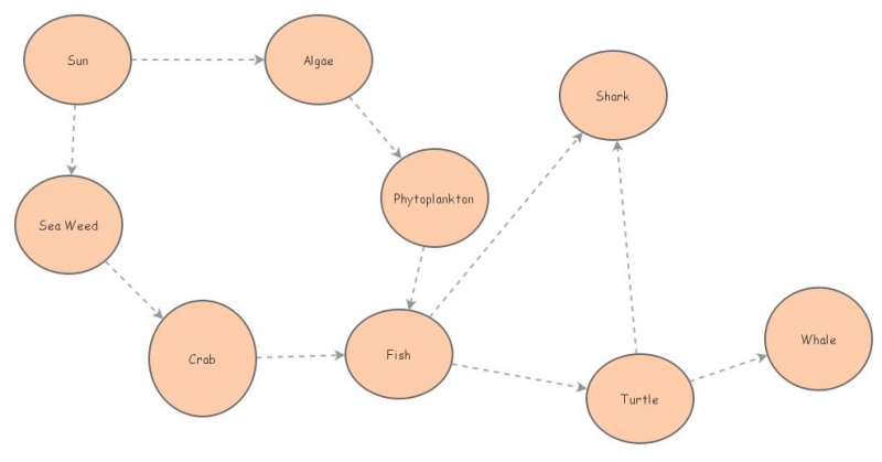 Food Web Insight Maker