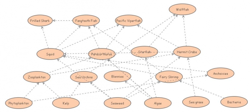 Clone Of Taiga Food Web Insight Maker