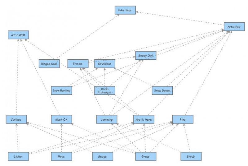 Tundra Food Web Insight Maker