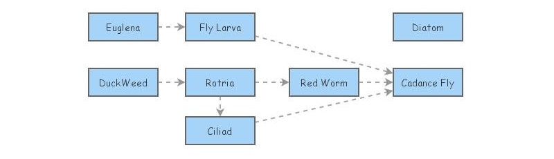 Pond Food Web Insight Maker