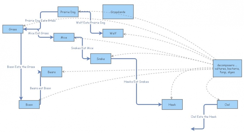 Clone Of Grassland Food Chain Insight Maker