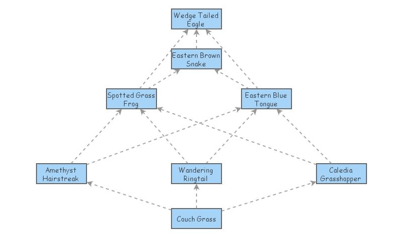 Food Web Insight Maker