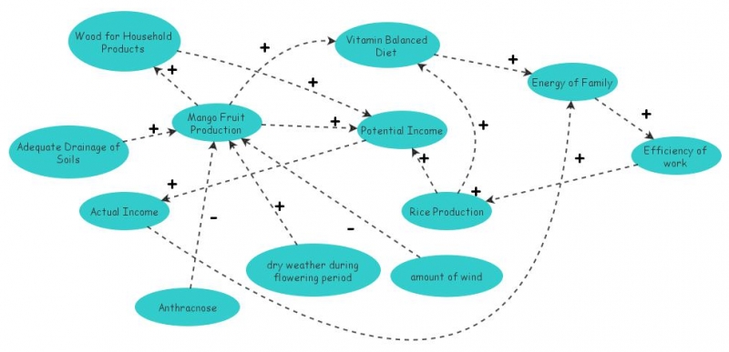 Mango Causal Loop Diagram Insight Maker