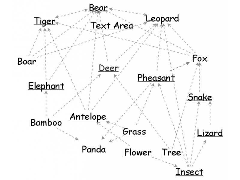 Bamboo forest food web Biology Diagrams