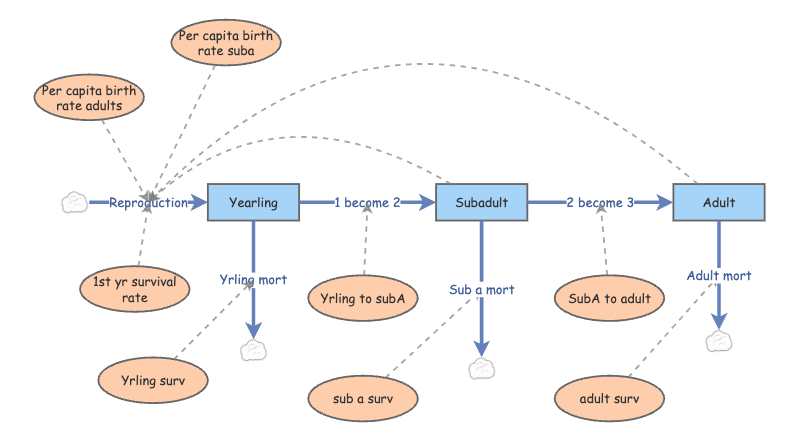 Clone of Lab 4 stage-structured population model | Insight Maker