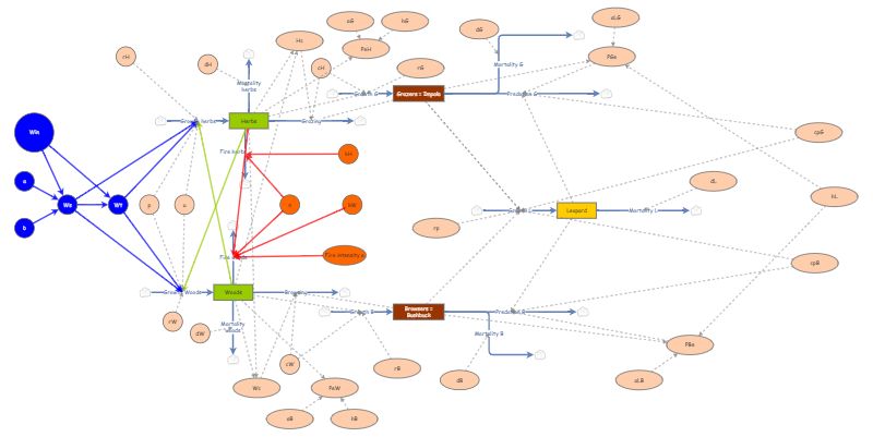 Complete Final Model Insight Maker
