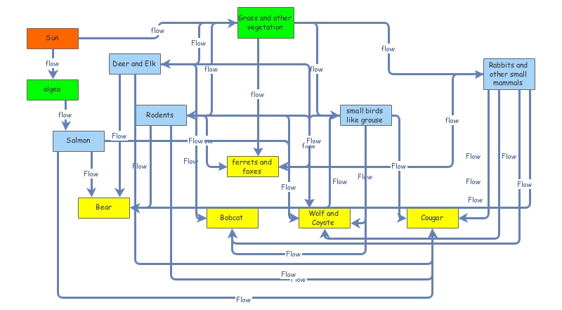 Temperate Rainforest Food Web | Insight Maker