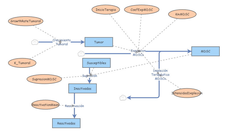 Modelo Tumor-Inmune-MDSC Proyecto off | Insight Maker