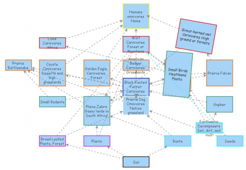 Clone Of Black Footed Ferret Food Web Insight Maker 9057