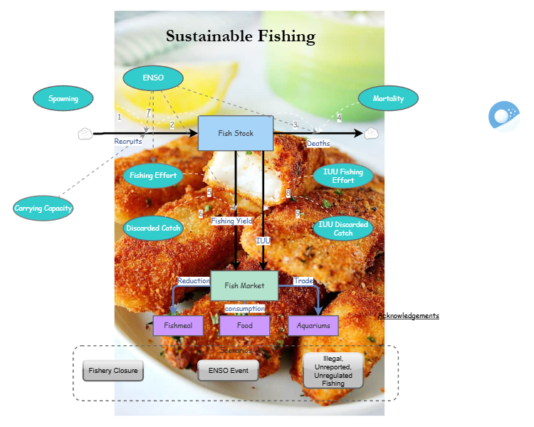 Clone of Clone of Stage 4 - Sustainable Fishing Model | Insight Maker