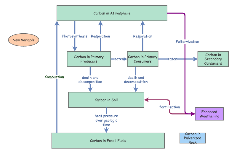 Carbon Stock and Flow | Insight Maker