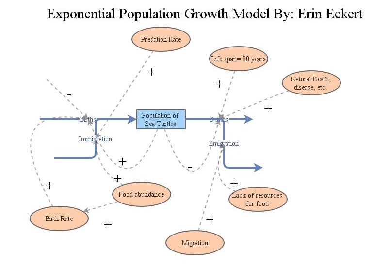 Erin Eckert Exponential Population Growth | Insight Maker