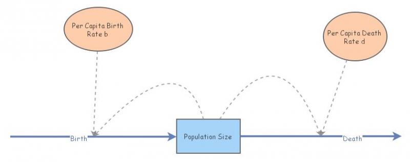 Lab 1: Ex 1 Deller Exponential | Insight Maker