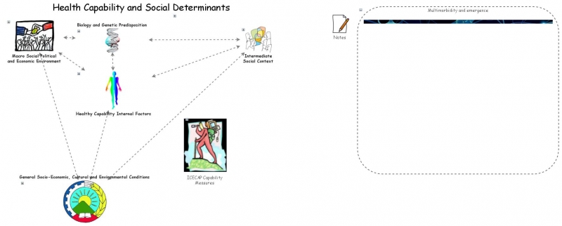 Health Capability Model Health Capability and Social Determinants | Insight Maker