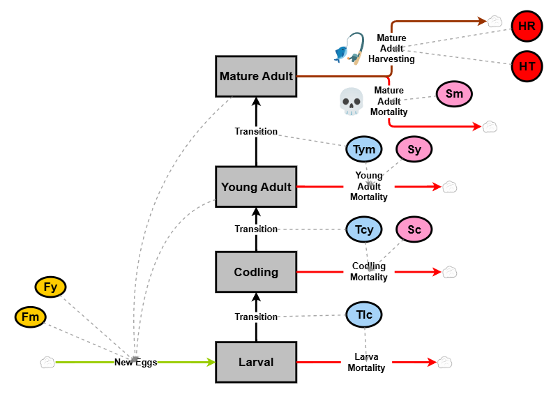 Stage Structured Growth With Harvesting -The Atlantic Cod | Insight Maker