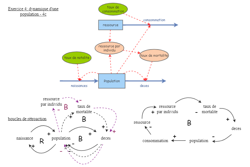 LE DYNAMISME DE LA POPULATION visual data 4