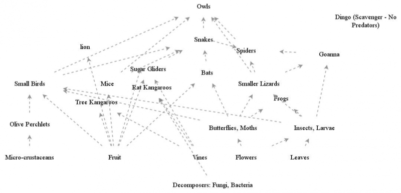 Clone of The Daintree Rainforest Food Web | Insight Maker