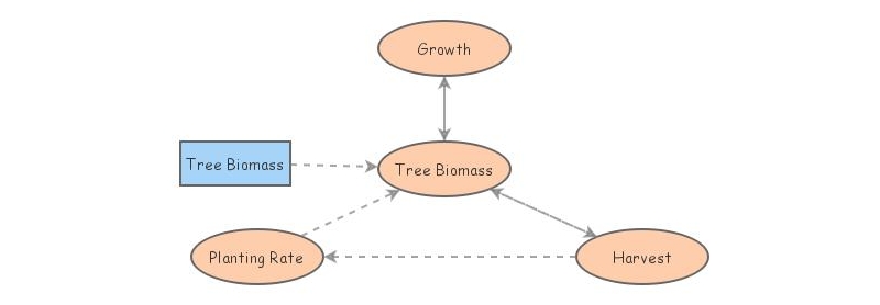 forest | Insight Maker