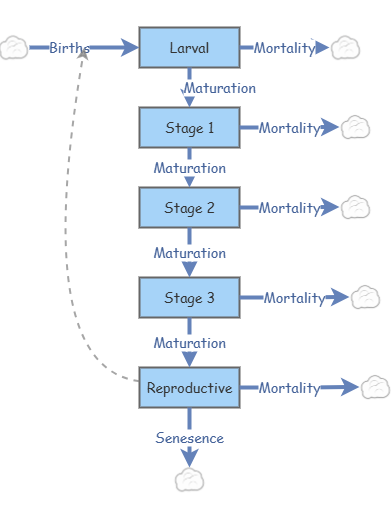 Clone Of Age Structured Population Insight Maker