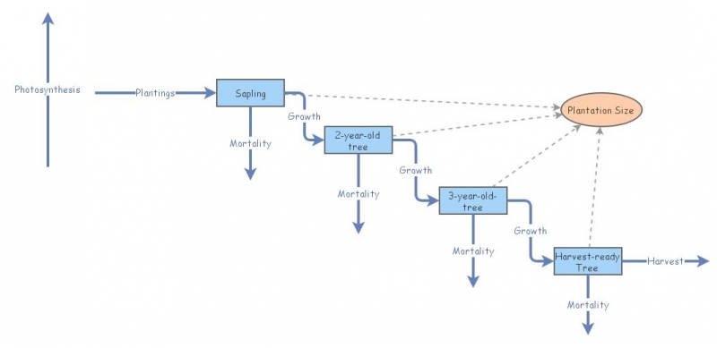 Practice Insight | Insight Maker