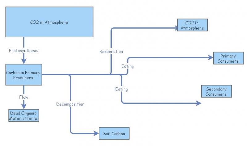 Carbon Cycle Model | Insight Maker