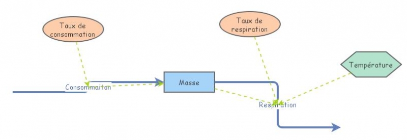 Exercice souris | Insight Maker