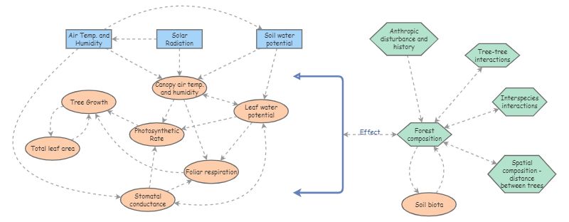 Mind map memoire | Insight Maker