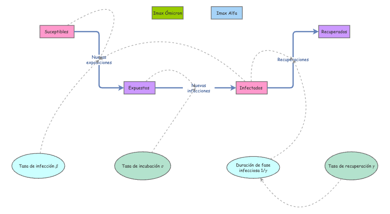 Modelo SEIR Proyecto Final Omicrón | Insight Maker
