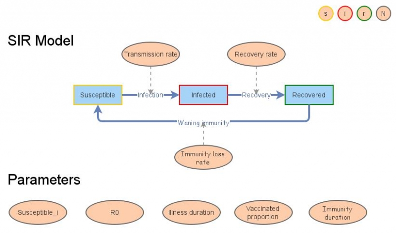 Clone of SIR model with waning immunity | Insight Maker