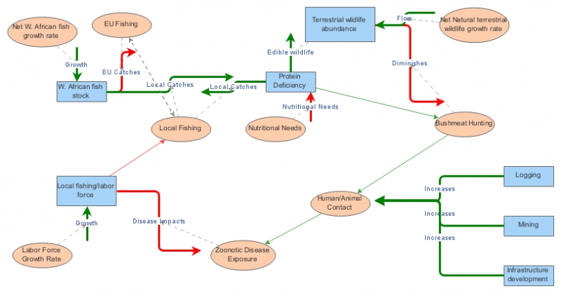 P250: Fish-Bushmeat-Ebola Model (Best Guess) | Insight Maker