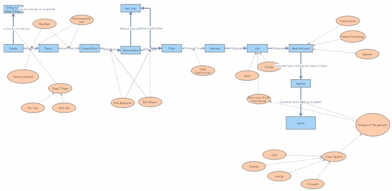 Clone of Biology for Design Project | Insight Maker