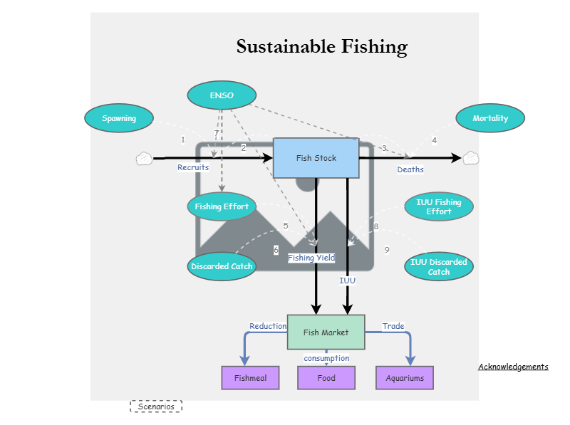 Clone of Clone of Stage 4 - Sustainable Fishing Model | Insight Maker