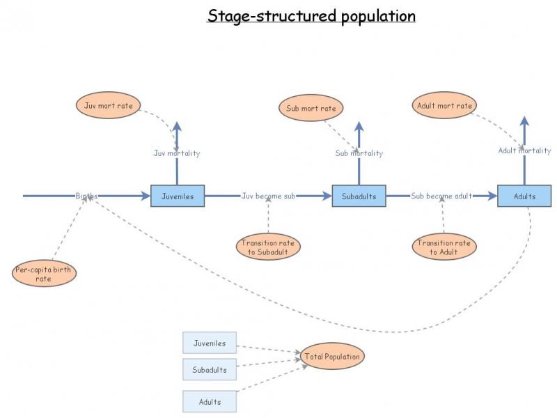 Clone of Stage-structured population | Insight Maker