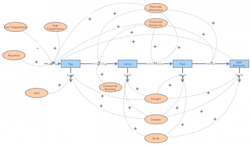 Population | Insight Maker