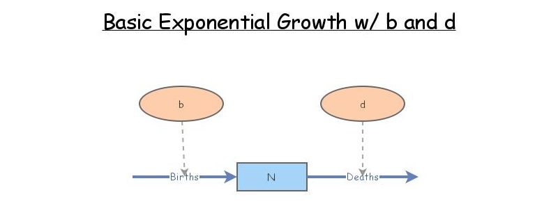 Basic Exponential Growth b and d | Insight Maker