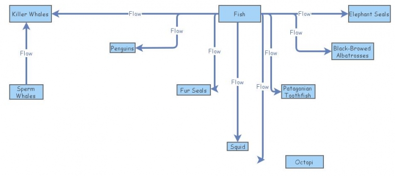 food web assignment insight maker