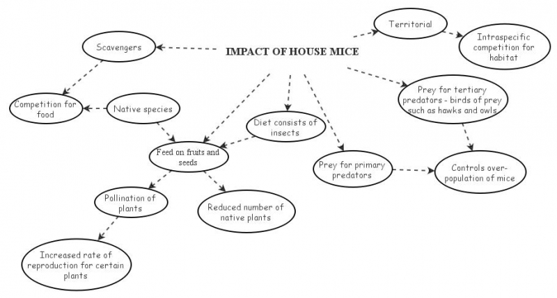 bio mindmap | Insight Maker