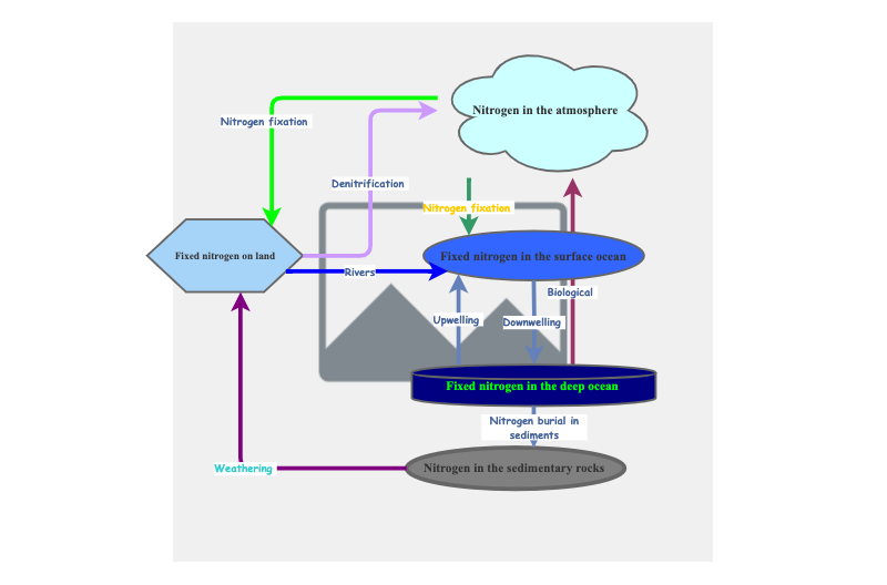 The Nitrogen Cycle | Insight Maker