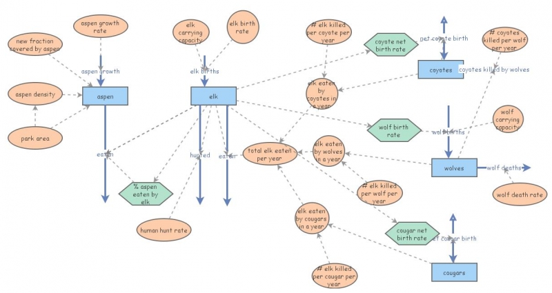 More Testing Insight Maker