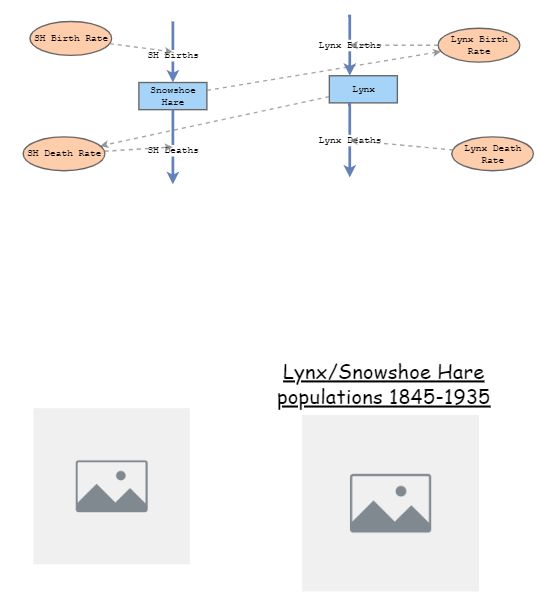 Lynx/Snowshoe Hare Predator/Prey Relationship | Insight Maker
