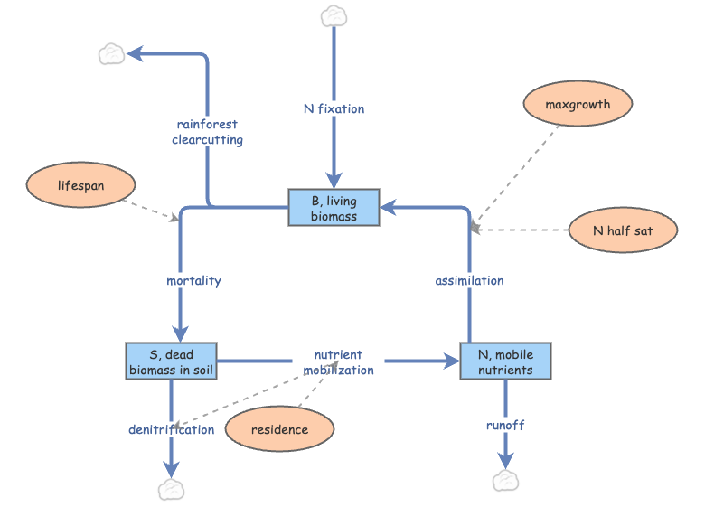 HW Mod 4 Rainforest | Insight Maker
