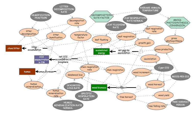 Systems Zoo Z305: Carbon balance of forests | Insight Maker