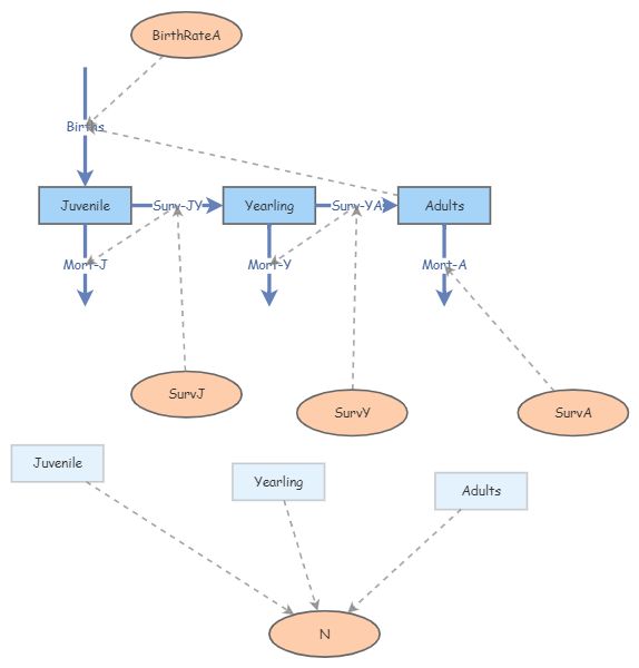 Toad In-class example | Insight Maker