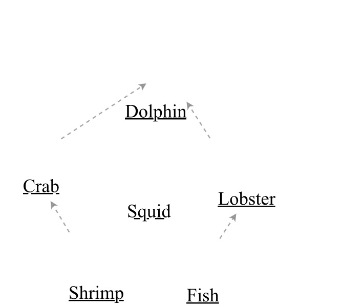 Hector dolphin food web | Insight Maker