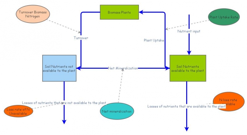 Homework 2 Forest Nitrogen Cycle Model | Insight Maker