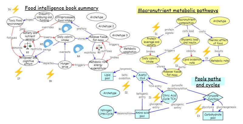 Food intelligence book summary | Insight Maker