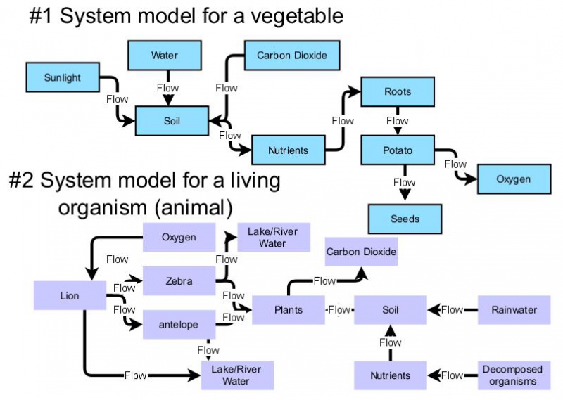System models | Insight Maker