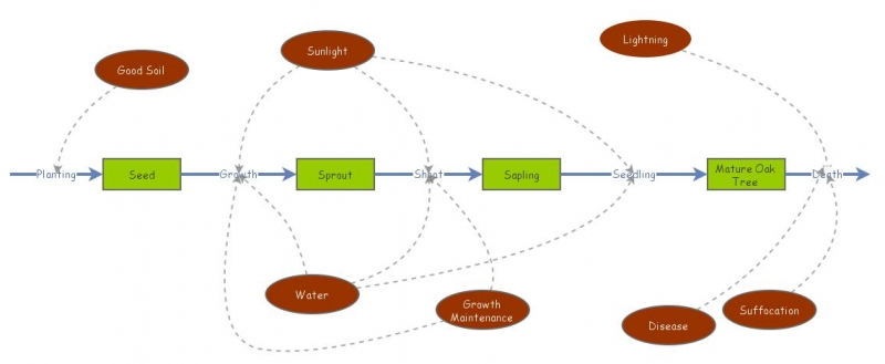 Oak Tree Life Model | Insight Maker