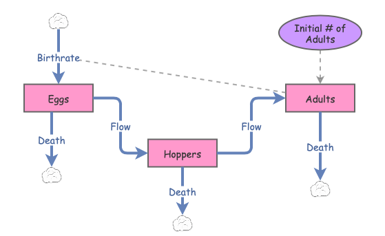 Locust Life Cycle | Insight Maker