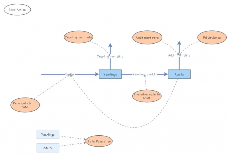 Clone of Clone of Stage-structured population | Insight Maker